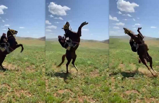 At şaha kalktı yere çakıldı ölümden döndüğü anlar görüntülendi