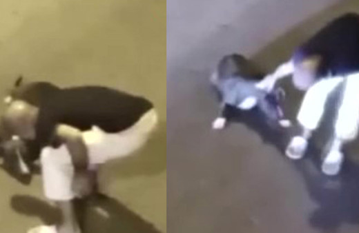 Avcılar'da köpeğe eziyet eden şahıs gözaltına alındı