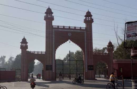 Hindistan'da bir üniversite Mevdudi ve Seyyid Kutub'u müfredattan kaldırdı