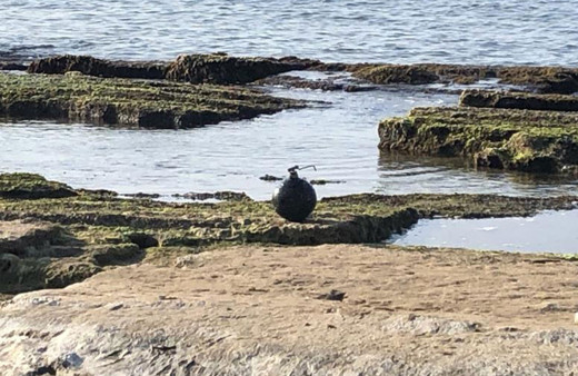 Dün Ordu bugün Sinop! Karadeniz'de Rus paniği devam ediyor: Füze ekipmanı çıktı