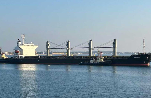 Mısır yüklü 3 gemi Ukrayna'dan peş peşe yola çıktı