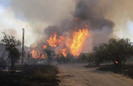 Fransa'da korkunç orman yangını: 700 hektar alan kül oldu