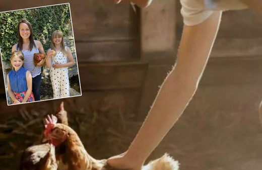 Kümese giren kadın tavuğun altındaki yumurtayı görünce şok oldu