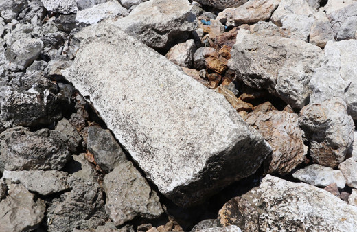 Eğirdir Gölü'ndeki adacıkta bulundu yetkililere haber verildi