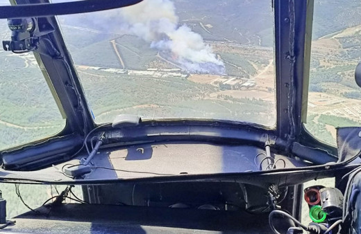 İzmir Buca'da orman yangını çıktı! Ekipler bölgede
