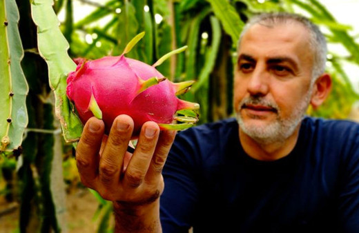 Paranı çöpe atma dediler dinlemedi ekti masrafı yok şimdi para basıyor