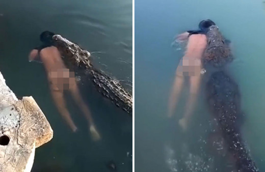 Timsah öldürdüğü kişiyi ağzıyla yakalayıp suda böyle götürdü dehşet anları görüntülendi