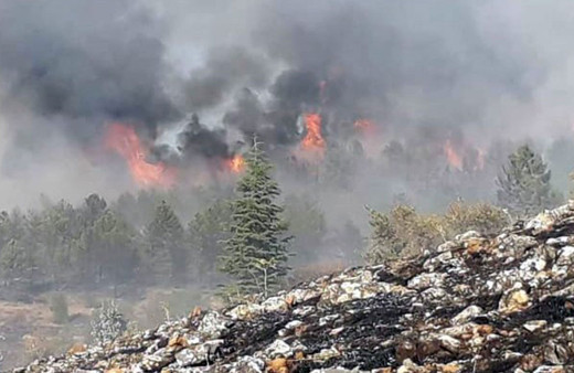 Manisa ve Elazığ’daki orman yangınları kontrol altına alındı!