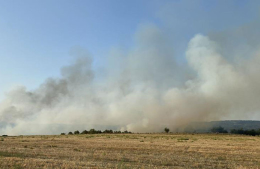 Manisa'da orman yangını çıktı