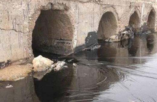 Fırat Nehri alarm veriyor! Hastalık kapanlar oldu terör örgütünü suçladılar