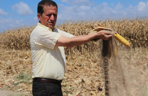 Türkiye'de ilk defa denendi kimse bunu beklemiyordu! Adana'da sonuçlar şaşırttı