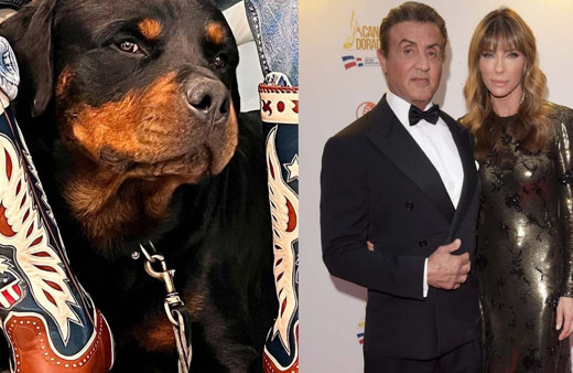 Sylvester Stallone'nin 25 yıllık evliliğini köpek bitirdi! Eşinin yerine çizdirmişti...