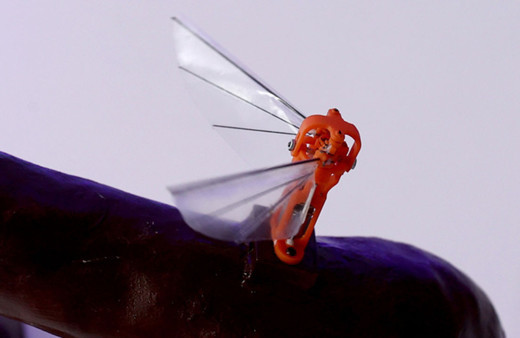 ASELSAN'ın "böcek İHA'sı" TEKNOFEST KARADENİZ'de kanatlandı