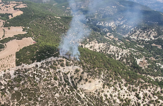 Manisa'da orman yangını çıktı! Helikopterler, uçaklar hepsi bölgede...