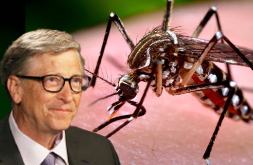 Bill Gates 'sivrisinek' iddiasıyla gündemde! Fabrikayı neden kurdu? Biyolojik silah...