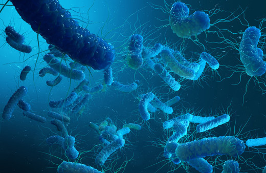 Klinikte büyük kabus! 6 kişiyi öldürdü! 'Legionella' nasıl bulaşıyor? Bu belirtilere dikkat...