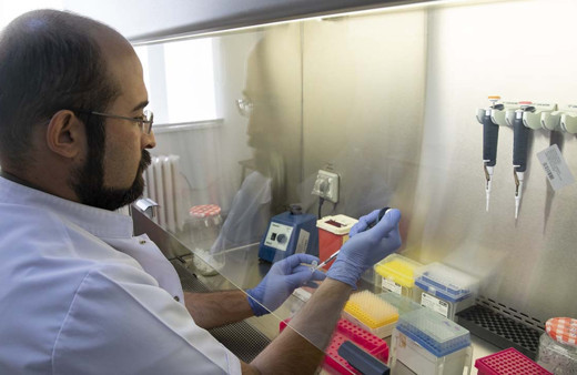 İnsana bulaşıyor! Türkiye'de ilk kez görüldü, İstanbul'da çok var! Yeni salgın endişesi...