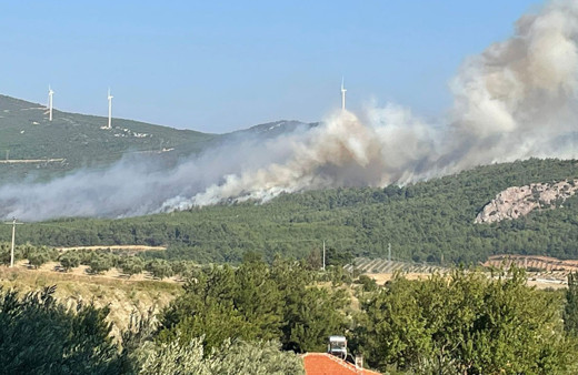 Manisa'da 2 mahallenin boşaltıldığı orman yangını kontrol altına alındı