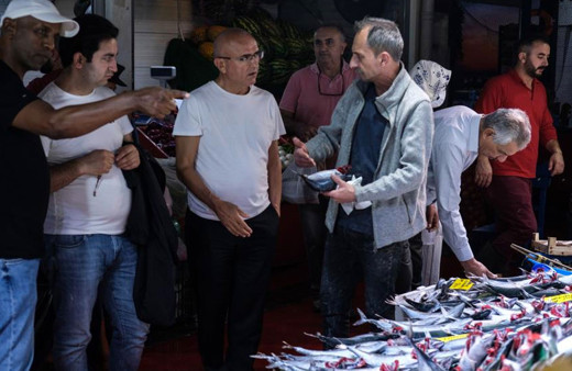 İstanbul'da tezgahlar palamutla doldu taştı fiyatlar yarıdan fazla düştü