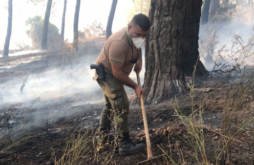 Antalya ve Denizli'de orman yangını çıktı rüzgar kötü etkiliyor evlere çok yakın