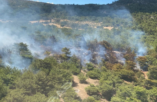 İzmir'de orman yangını çıktı! Ekipler bölgede müdahale sürüyor