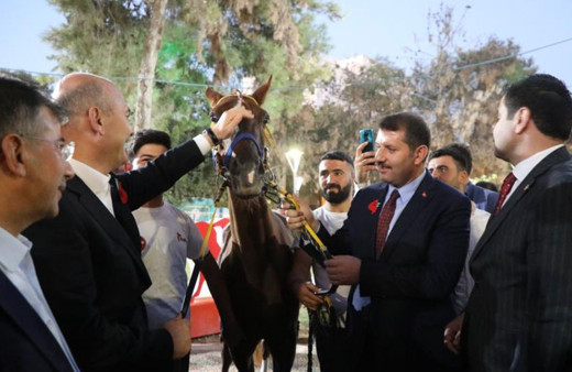 Bakan Soylu’ya Suruç’ta sevgi seli: Zılgıtlarla karşılandı, yarış atı hediye edildi!