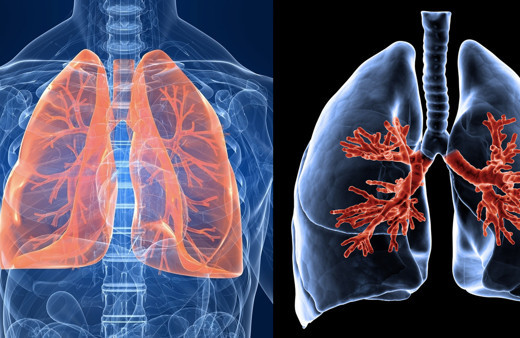 2 damlası yeter! İşte akciğerinizi tertemiz yapacak detoks