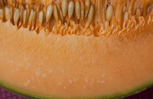 Bu faydaları okuduktan sonra kavunun çekirdeklerini asla çöpe atmayacaksınız