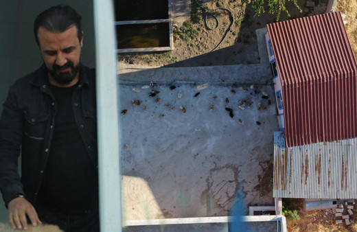 Yurtdışında görüp Lice'de çiftlik kurdu zengin oldu! Eşi inanmadı şimdi milyonları konuşuyor