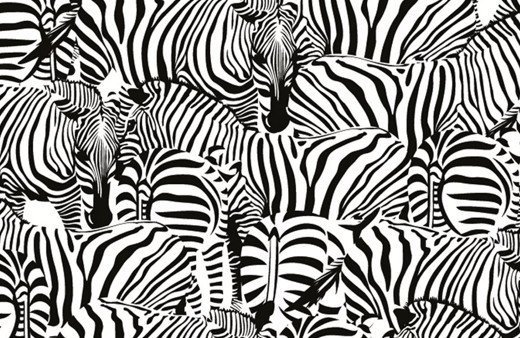 15 saniyede buldunuz mu? Gizli hayvanı yalnızca dahiler farkedebilir!