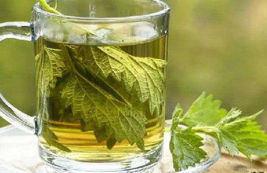 Akciğeri temizliyor, nefesi açıyor, kanseri bile tedavi ediyor. İbn-i Sina'nın reçetesi...