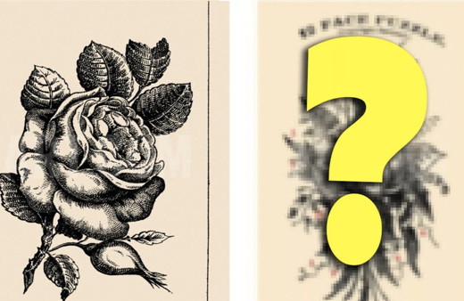 20 saniyeniz var! Gizlenmiş kadın yüzünü bulabilir misiniz?