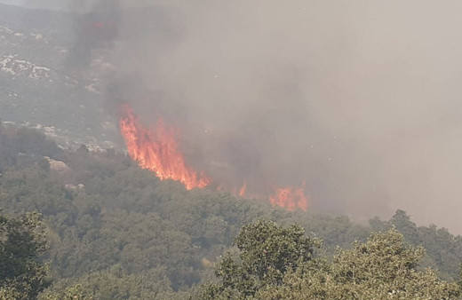 Antalya'da orman yangını!  İtfaiye ekipleri bölgeye sevk edildi