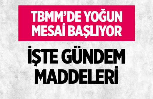 TBMM'de yoğun mesai başlıyor: İşte gündem maddeleri...