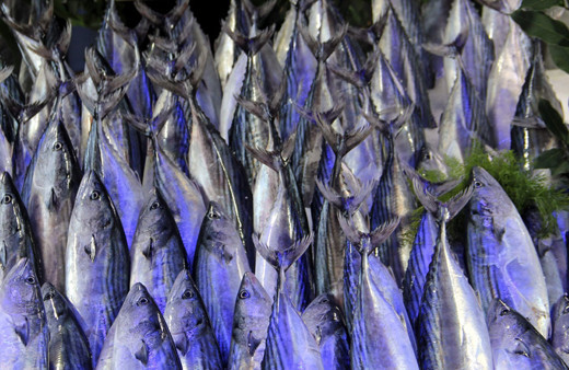 Türkiye balıkçılıkta geçen yıl 1 milyon tonla rekor kırdı