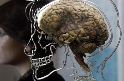 Farkında bile değiliz ama beynimizin içinde dolaşıp duruyormuş!