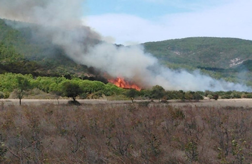 Gelibolu'da orman yangını çıktı uçaklar, helikopterler bölgede