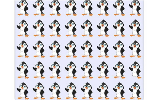Farklı pengueni bulmak için sadece 7 saniyeniz var! Bakın kimler hemen buluyormuş