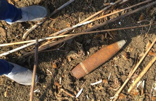 Tarlasında ayçiçeği toplarken buldu Jandarmaya haber verdi