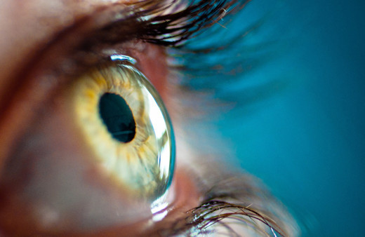 Yer çekimsiz ortamda yapılan retina ile bilim dünyası hayrete düştü