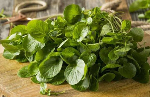 Akciğerleri temizleyen kanserden koruyan İbrahim Saraçoğlu kürü