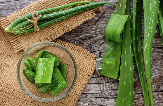 Şampuanına bunu karıştır saç dökülmesi dursun! İşte Aloe veralı şampuan tarifi