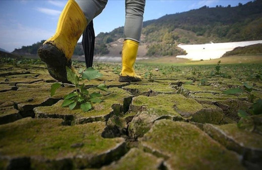 Türkiye ve 4 ülke için korkunç senaryo! Araştırma sonuçları açıklandı!