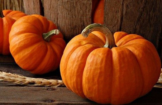 Kalbi koruyor, libidoyu artırıyor tam bir şifa deposu: Balkabağı