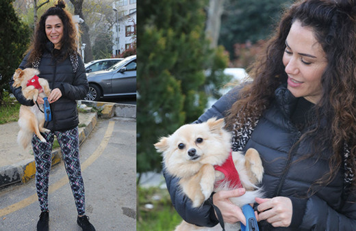 Ünlü oyuncunun köpeği işadamına dehşeti yaşattı! 'Ben saldırıya uğrarken izlediler'