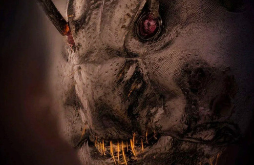 Karınca fotoğrafı viral oldu! Daha önce karıncaları hiç böyle görmediniz