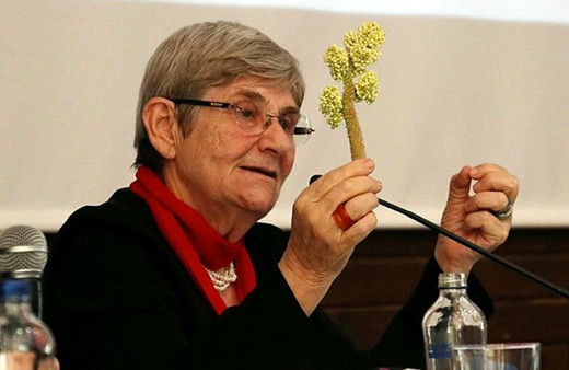 Canan Karatay uyardı alkolden bile daha fazla zehirli ani kalp durmasına neden olabilir