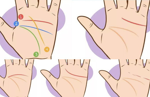 Hemen avucunuzun içine bakın! Eğer o çizgi elinizin ortasındaysa...