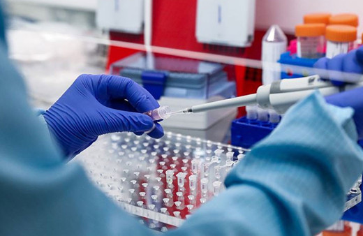 Türkiye'de bir ilk! DNA testiyle gelen 186 milyon liralık miras