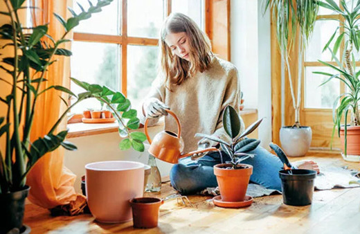 Ölüyü diriltiyor bitkilerinizi canlandıracak 6 önemli tavsiye!